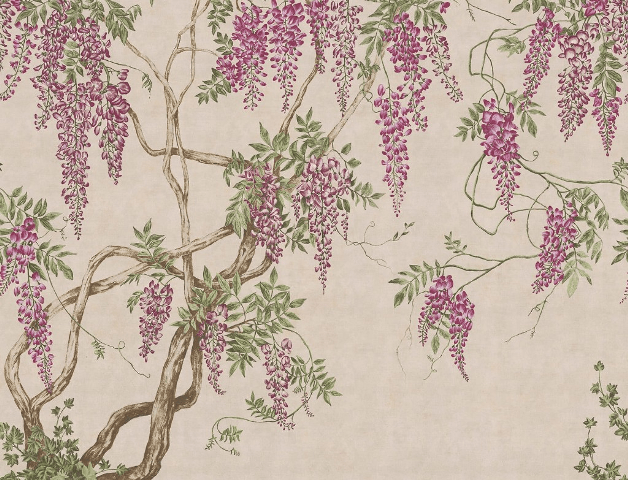 Botanical wisteria vines with hanging purple blooms